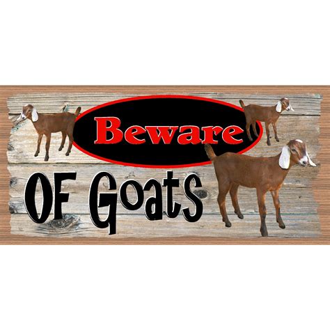 Beware: GOAT authenticated and sold a 